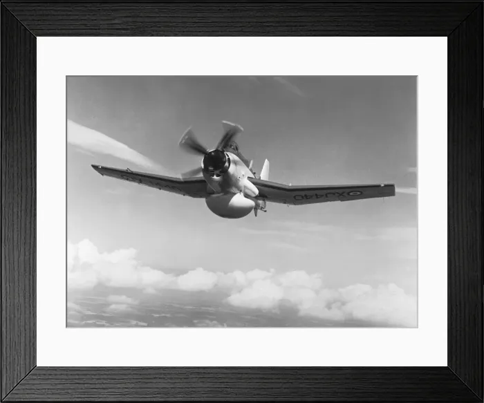 Framed Print : Fairey Gannet Framed Print : Fairey Gannet