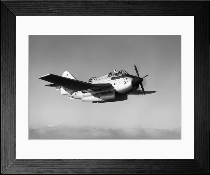 Framed Print : Fairey Gannet Framed Print : Fairey Gannet