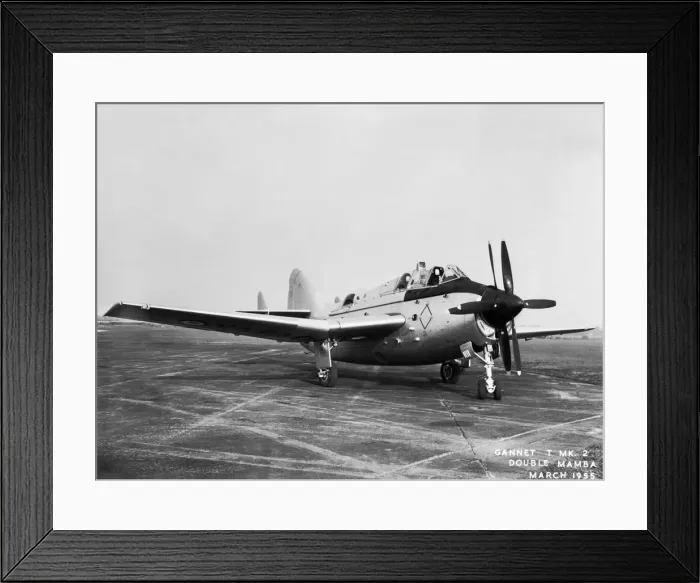Framed Print : Fairey Gannet Framed Print : Fairey Gannet