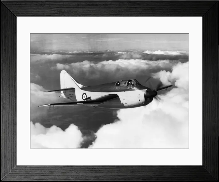 Framed Print : Fairey Gannet Framed Print : Fairey Gannet