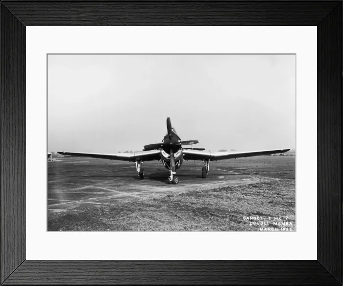 Framed Print : Fairey Gannet Framed Print : Fairey Gannet