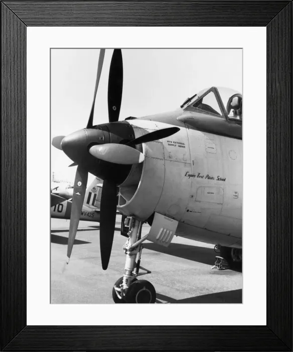 Framed Print : Fairey Gannet Framed Print : Fairey Gannet