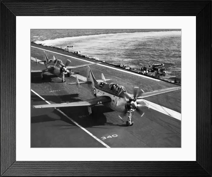 Framed Print : Fairey Gannet Framed Print : Fairey Gannet