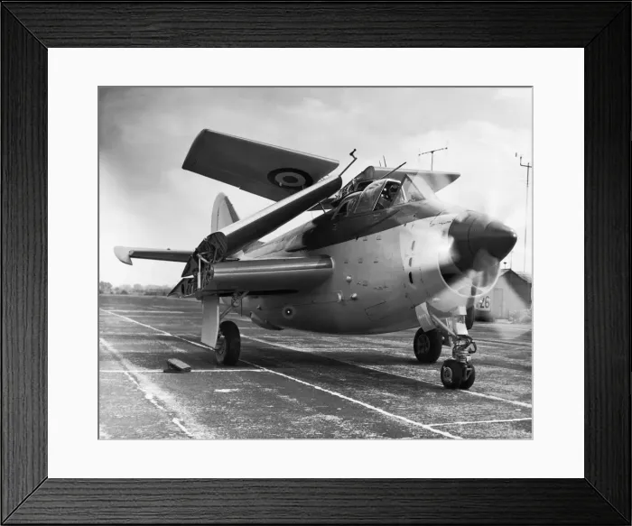 Framed Print : Fairey Gannet Framed Print : Fairey Gannet