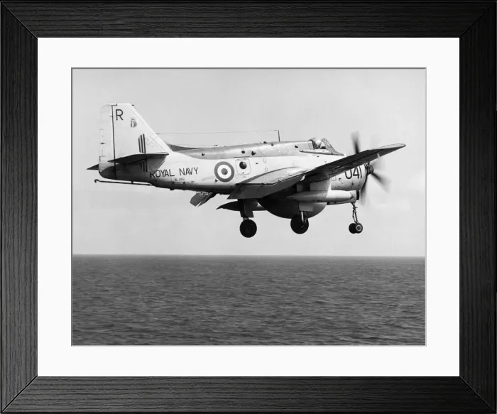 Framed Print : Fairey Gannet Framed Print : Fairey Gannet