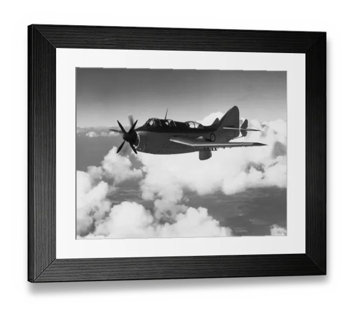Framed Print : Fairey Gannet Framed Print : Fairey Gannet
