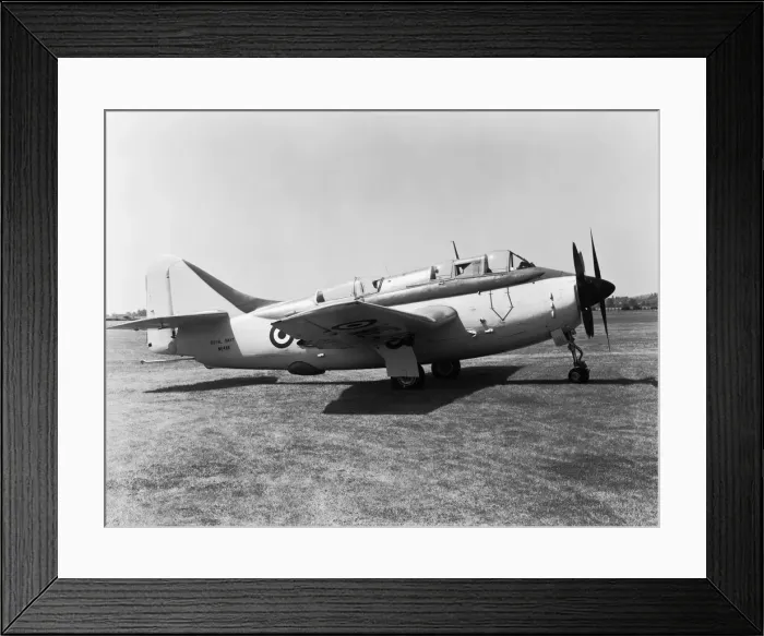 Framed Print : Fairey Gannet Framed Print : Fairey Gannet