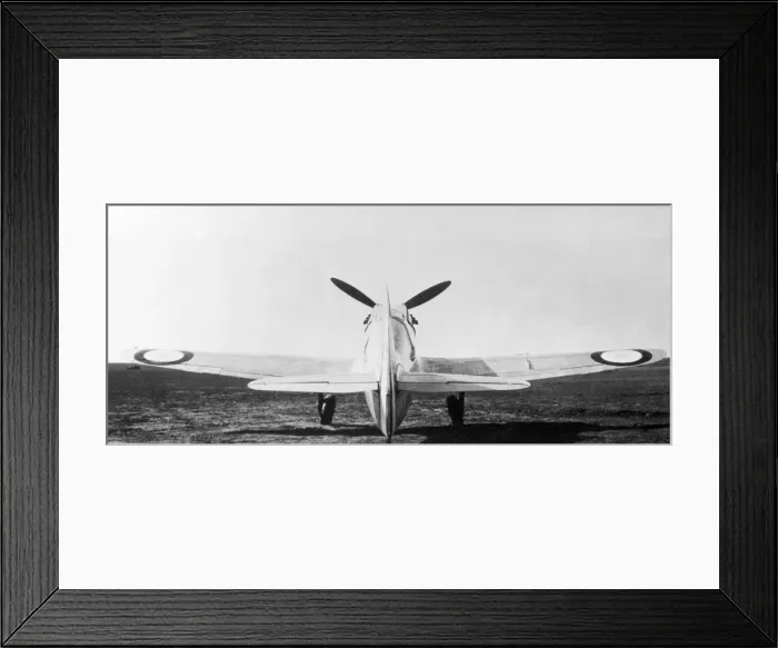 Framed Print : Dewoitine D-520 Framed Print : Dewoitine D-520