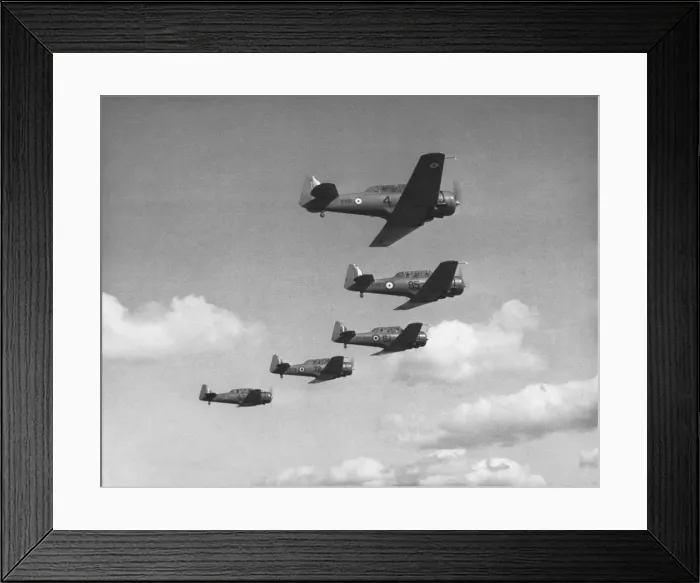 Framed Print : North American T-6 Harvard Framed Print : North American T-6 Harvard