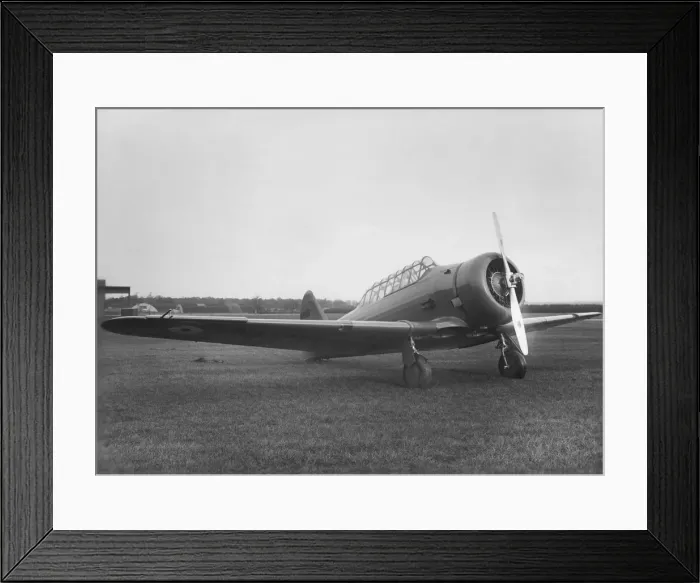 Framed Print : North American T-6 Harvard Framed Print : North American T-6 Harvard