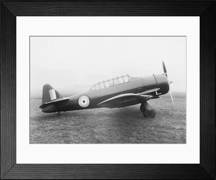 Framed Print : North American T-6 Harvard Framed Print : North American T-6 Harvard