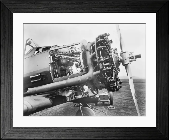 Framed Print : North American T-6 Harvard Framed Print : North American T-6 Harvard