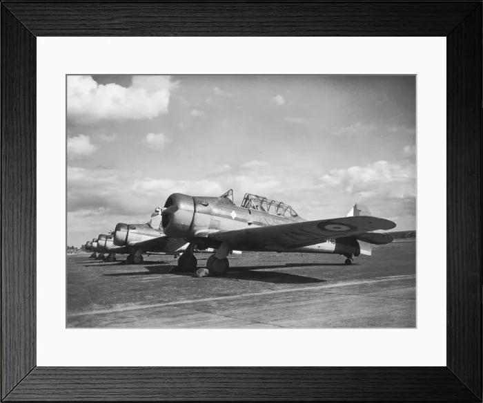 Framed Print : North American T-6 Harvard Framed Print : North American T-6 Harvard