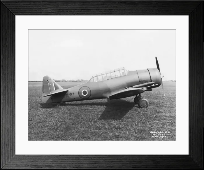Framed Print : North American T-6 Harvard Framed Print : North American T-6 Harvard