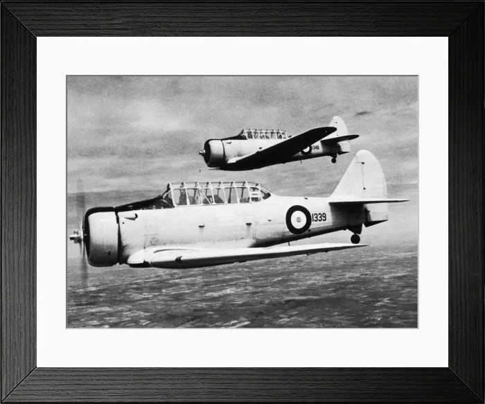 Framed Print : North American T-6 Harvard Framed Print : North American T-6 Harvard