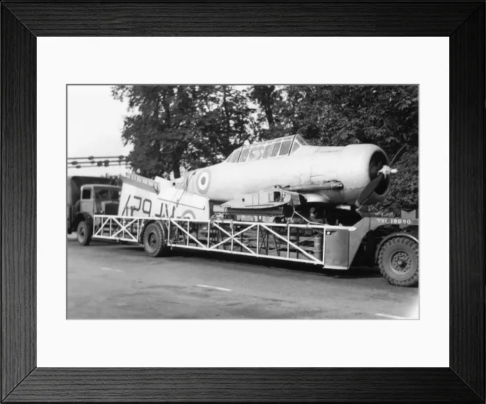 Framed Print : North American T-6 Harvard Framed Print : North American T-6 Harvard