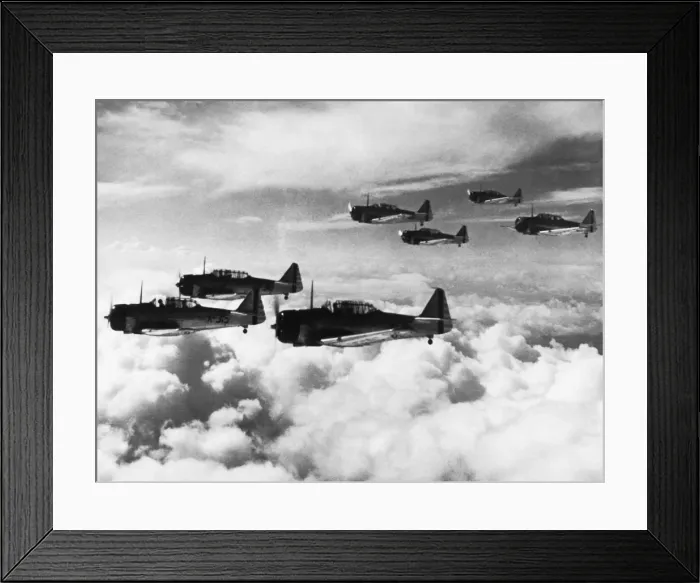 Framed Print : North American T-6 Harvard Framed Print : North American T-6 Harvard
