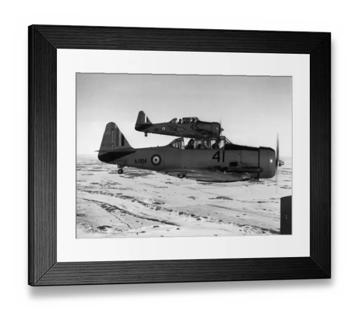 Framed Print : North American T-6 Harvard Framed Print : North American T-6 Harvard