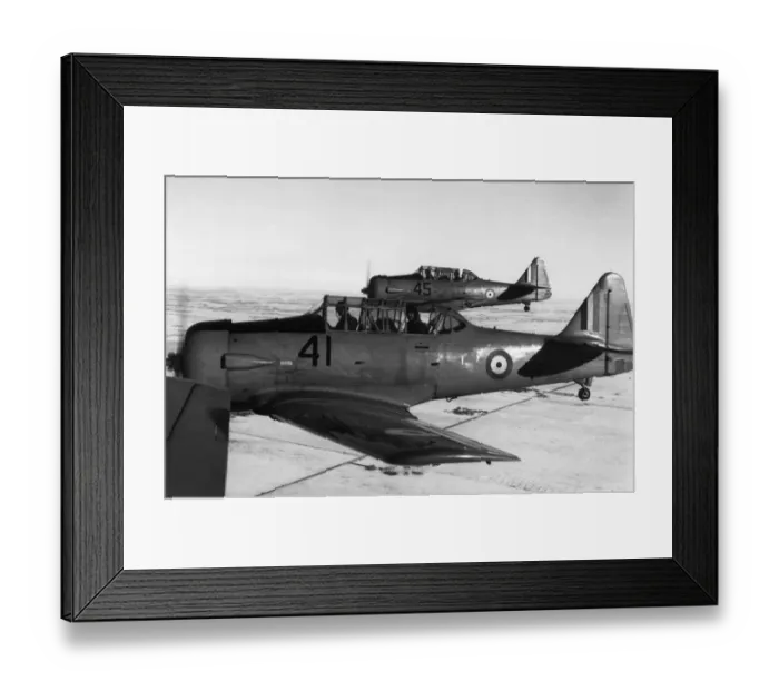 Framed Print : North American T-6 Harvard Framed Print : North American T-6 Harvard