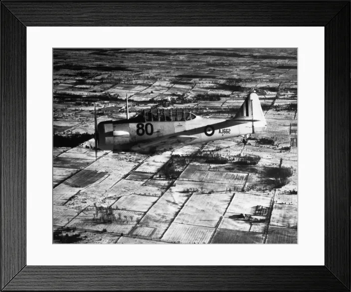 Framed Print : North American T-6 Harvard Framed Print : North American T-6 Harvard