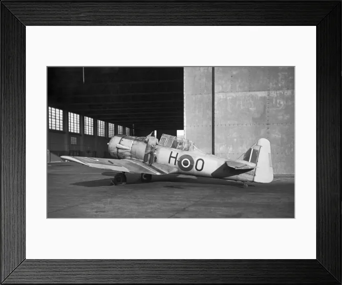 Framed Print : North American T-6 Harvard Framed Print : North American T-6 Harvard