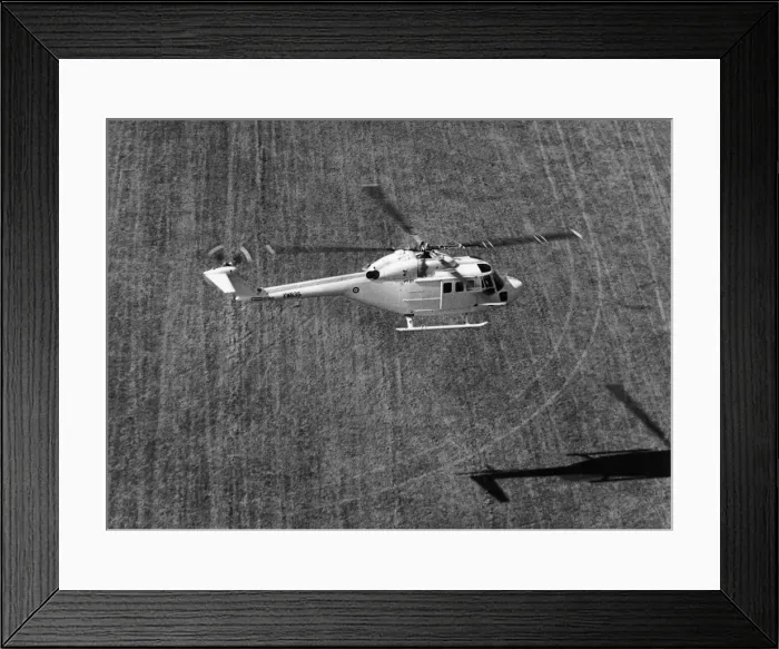 Framed Print : Westland Lynx Framed Print : Westland Lynx