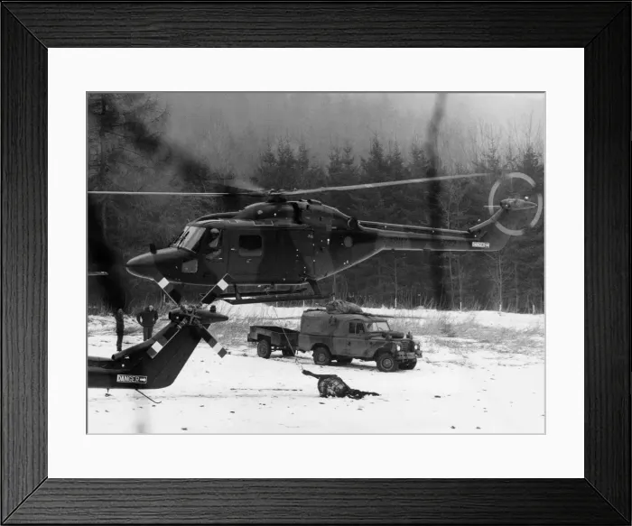 Framed Print : Westland Lynx Framed Print : Westland Lynx