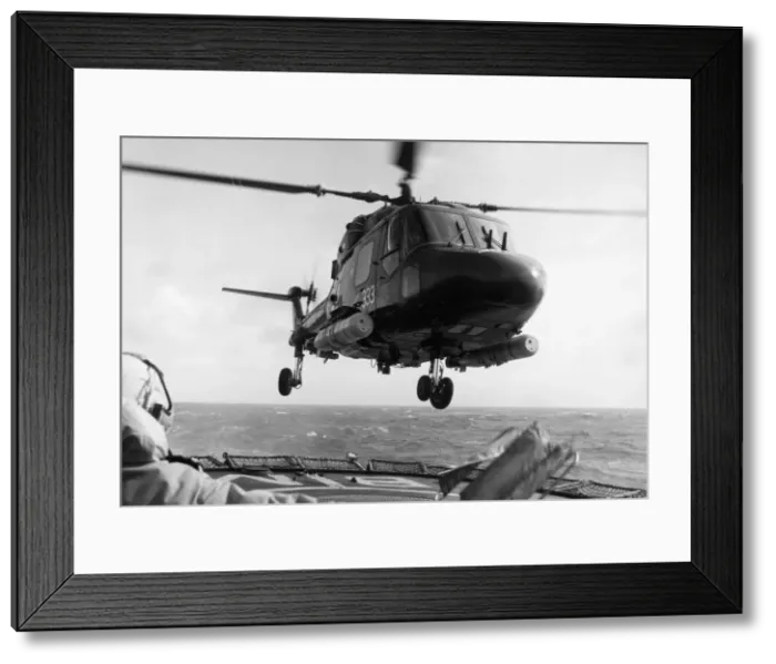 Framed Print : Westland Lynx Framed Print : Westland Lynx
