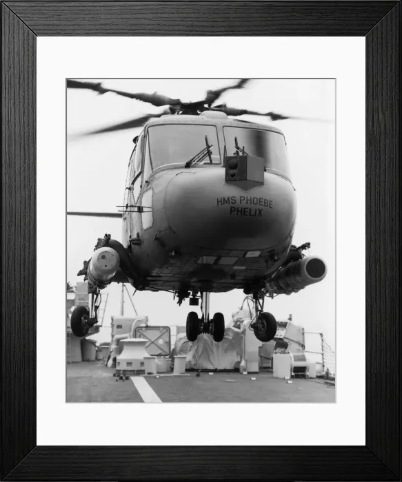 Framed Print : Westland Lynx Framed Print : Westland Lynx