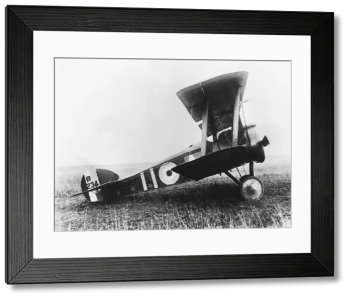 Framed Print : Sopwith Camel F-1 Framed Print : Sopwith Camel F-1