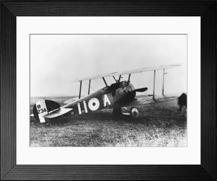 Framed Print : Sopwith Camel F-1 Framed Print : Sopwith Camel F-1