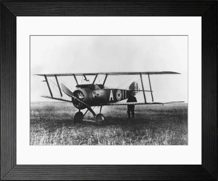 Framed Print : Sopwith Camel F-1 Framed Print : Sopwith Camel F-1