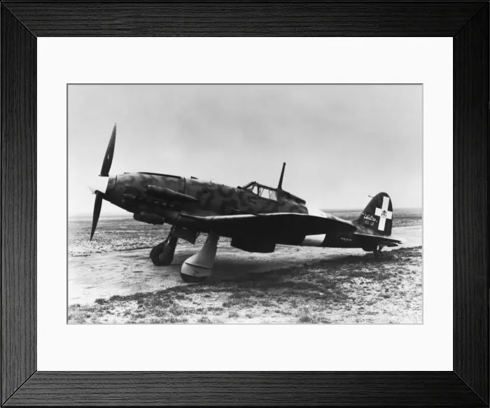 Framed Print : Macchi C-205N Orione Framed Print : Macchi C-205N Orione
