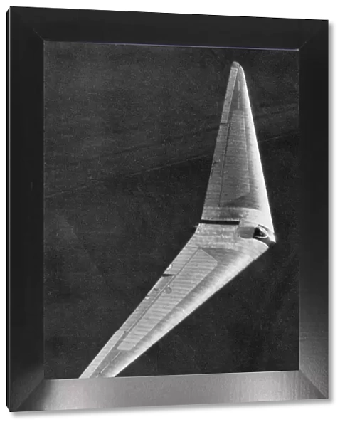 Horten Tailless Glider