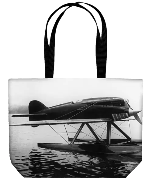 Macchi M. 39 Racing Floatplane Parked Floating on Water i?