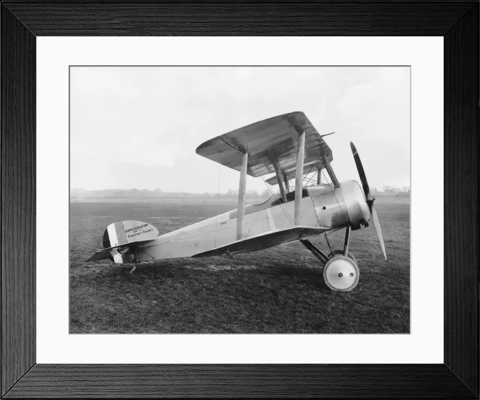 Framed Print : Sopwith Dove Framed Print : Sopwith Dove