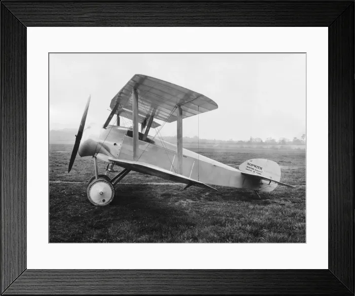 Framed Print : Sopwith Dove Framed Print : Sopwith Dove