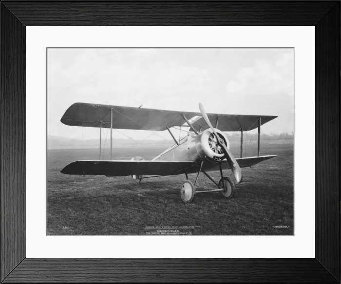 Framed Print : Sopwith Dove Framed Print : Sopwith Dove
