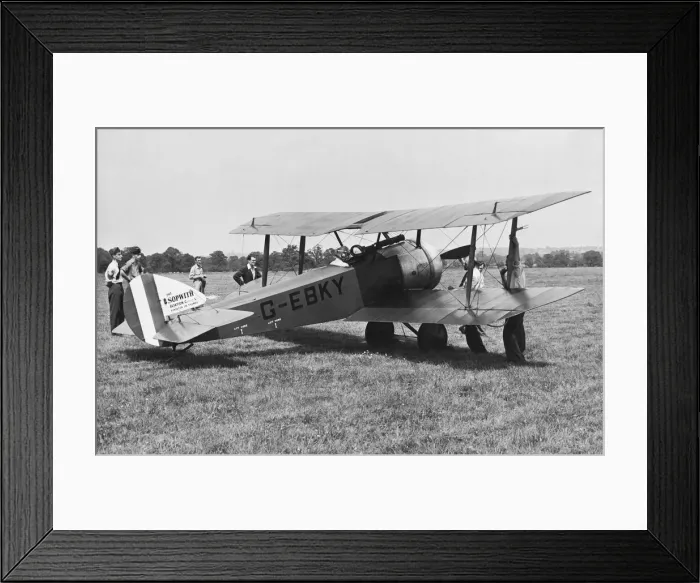 Framed Print : Sopwith Dove Framed Print : Sopwith Dove