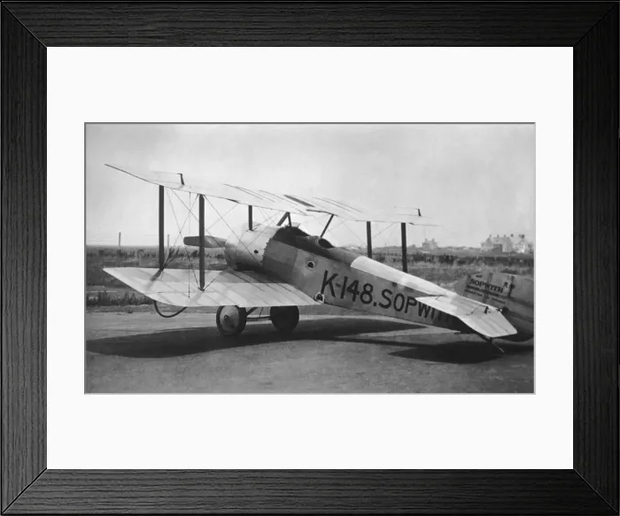 Framed Print : Sopwith Dove Framed Print : Sopwith Dove
