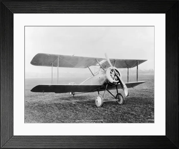 Framed Print : Sopwith Dove Framed Print : Sopwith Dove