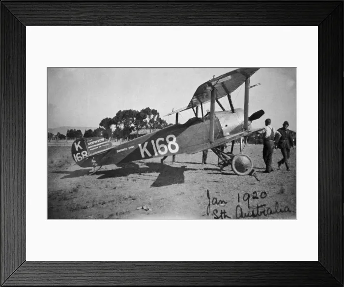 Framed Print : Sopwith Dove Framed Print : Sopwith Dove