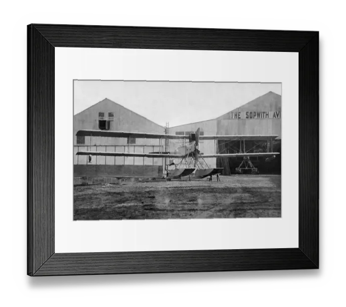 Framed Print : Sopwith Dove Framed Print : Sopwith Dove