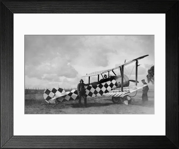 Framed Print : Sopwith Dove Framed Print : Sopwith Dove