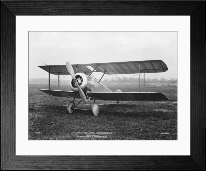 Framed Print : Sopwith Dove Framed Print : Sopwith Dove