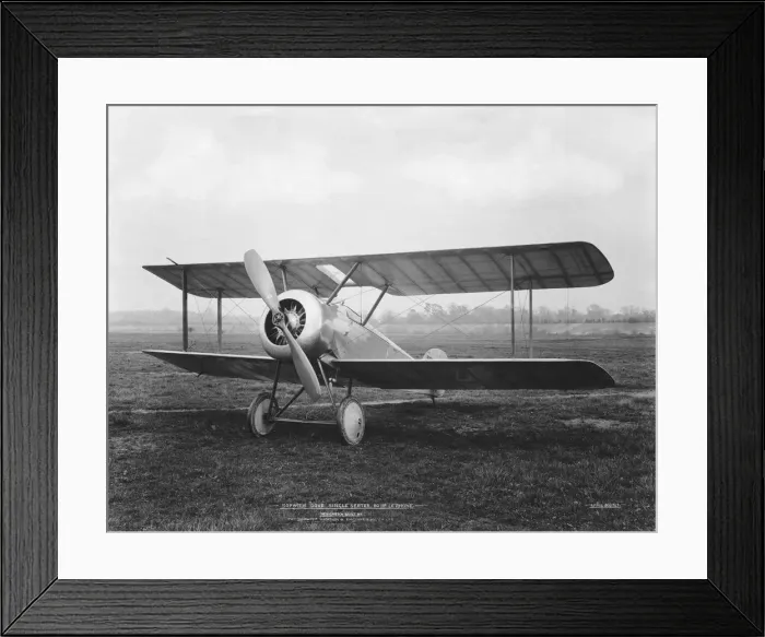 Framed Print : Sopwith Dove Framed Print : Sopwith Dove