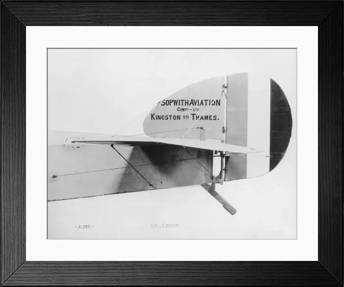 Framed Print : Sopwith Dove Framed Print : Sopwith Dove