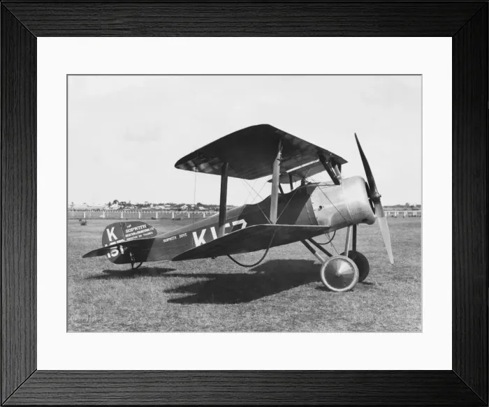 Framed Print : Sopwith Dove Framed Print : Sopwith Dove