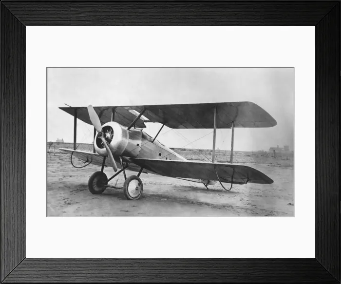 Framed Print : Sopwith Dove Framed Print : Sopwith Dove