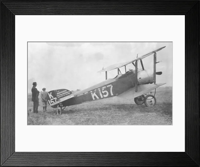 Framed Print : Sopwith Dove Framed Print : Sopwith Dove